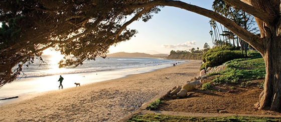 BUTTERFLY BEACH OFFERS TWO DISTINCT BACKDROPS