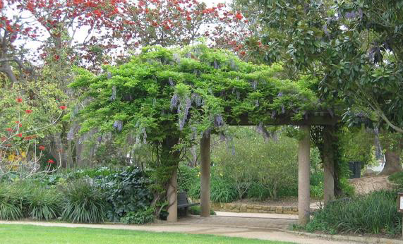 A FEE MAY APPLY TO USE ARBOR