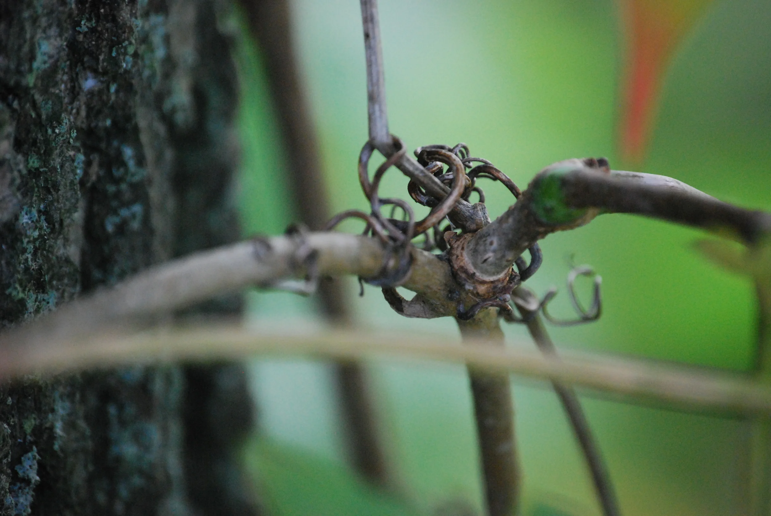 Digital Photography-499.JPG