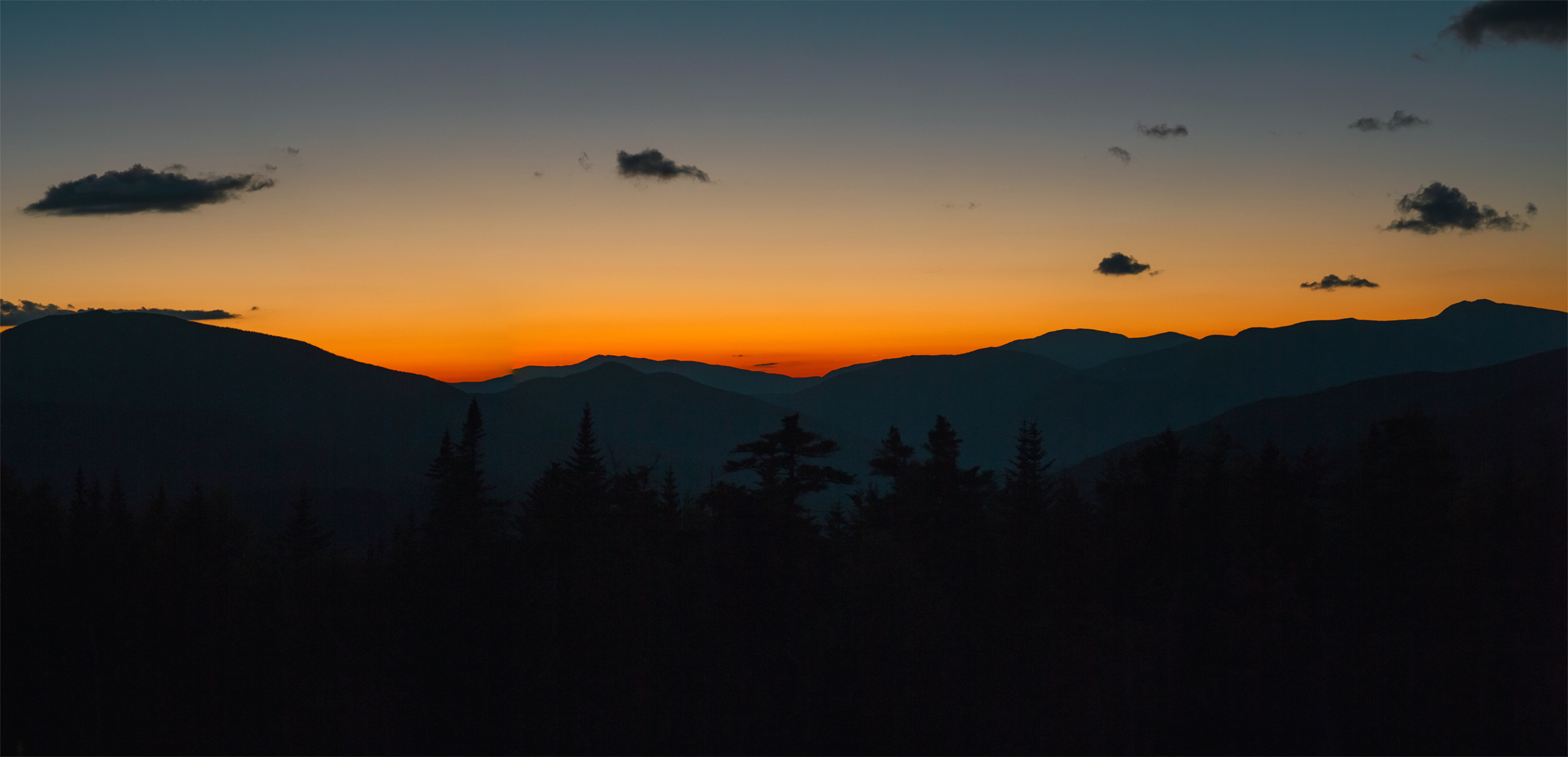 _MG_8535.jpg