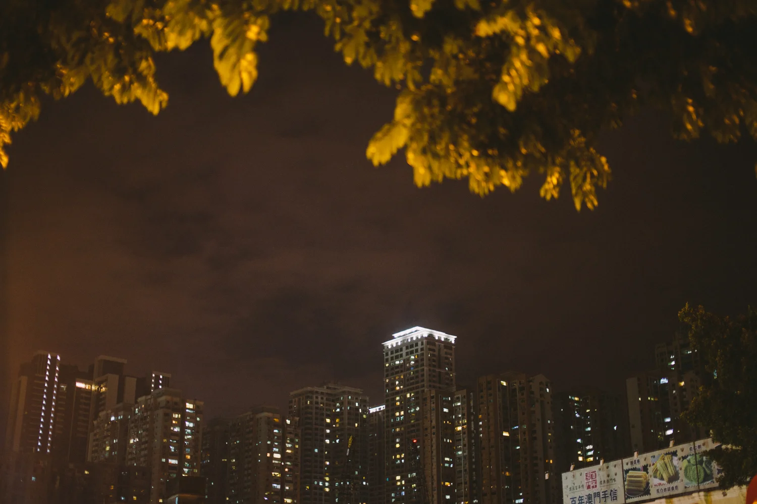 _MG_8693.jpg