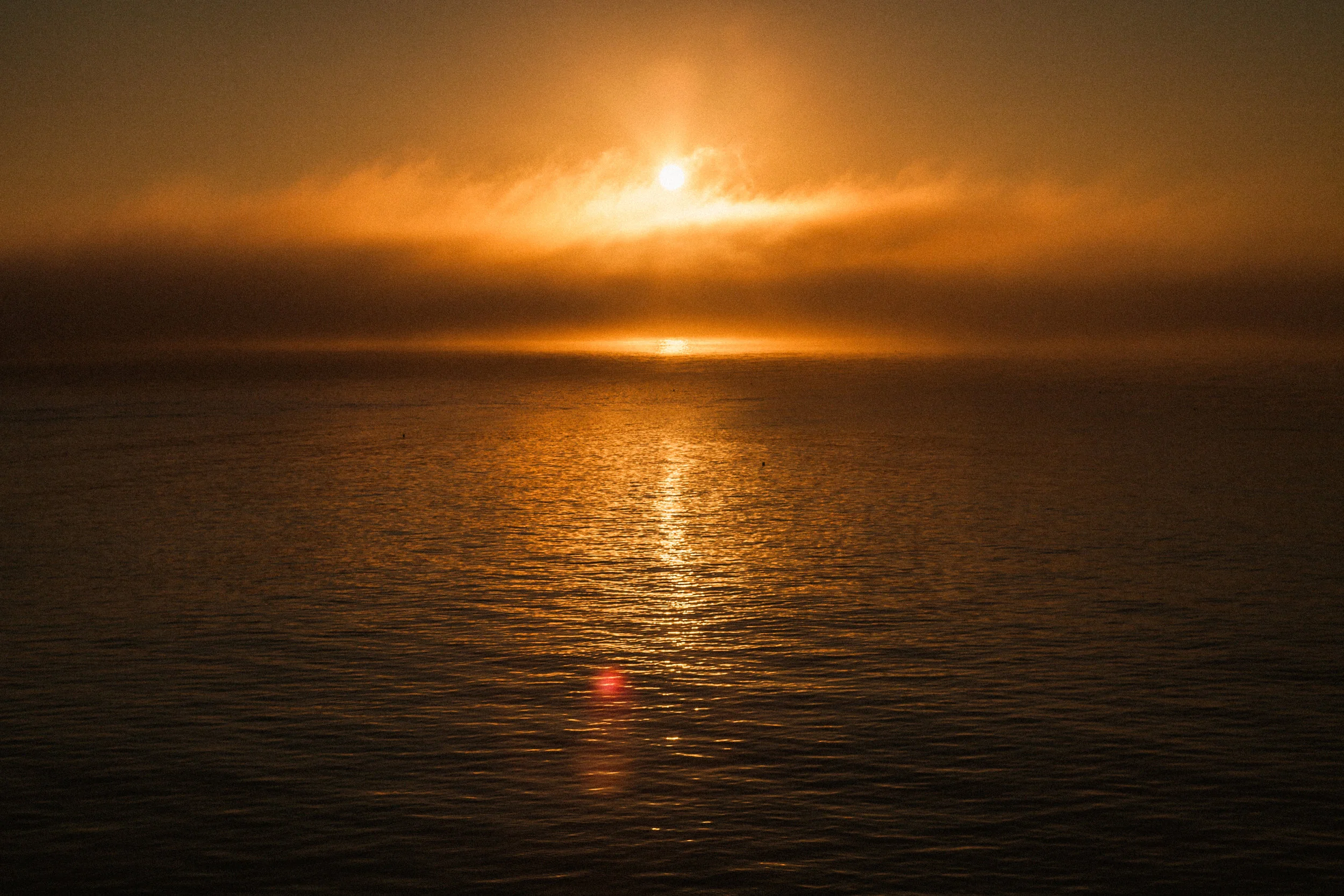 _MG_6549.jpg