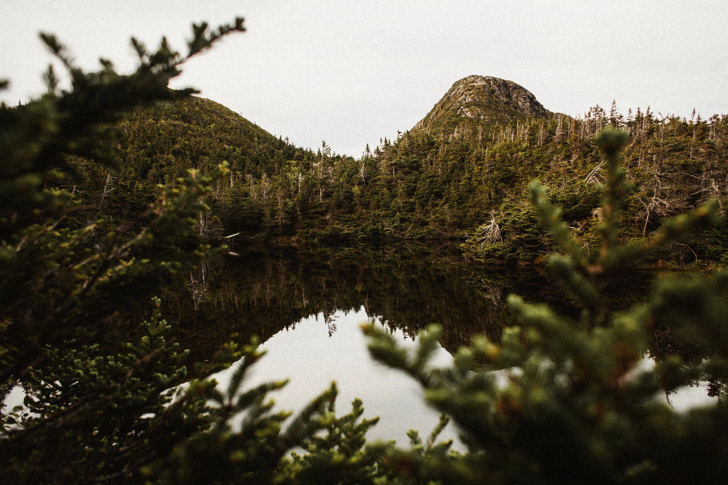 _MG_8448.jpg