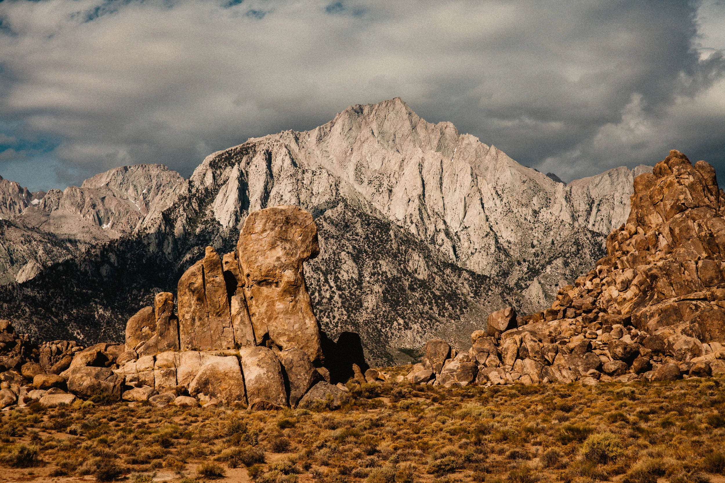 _MG_4939.jpg