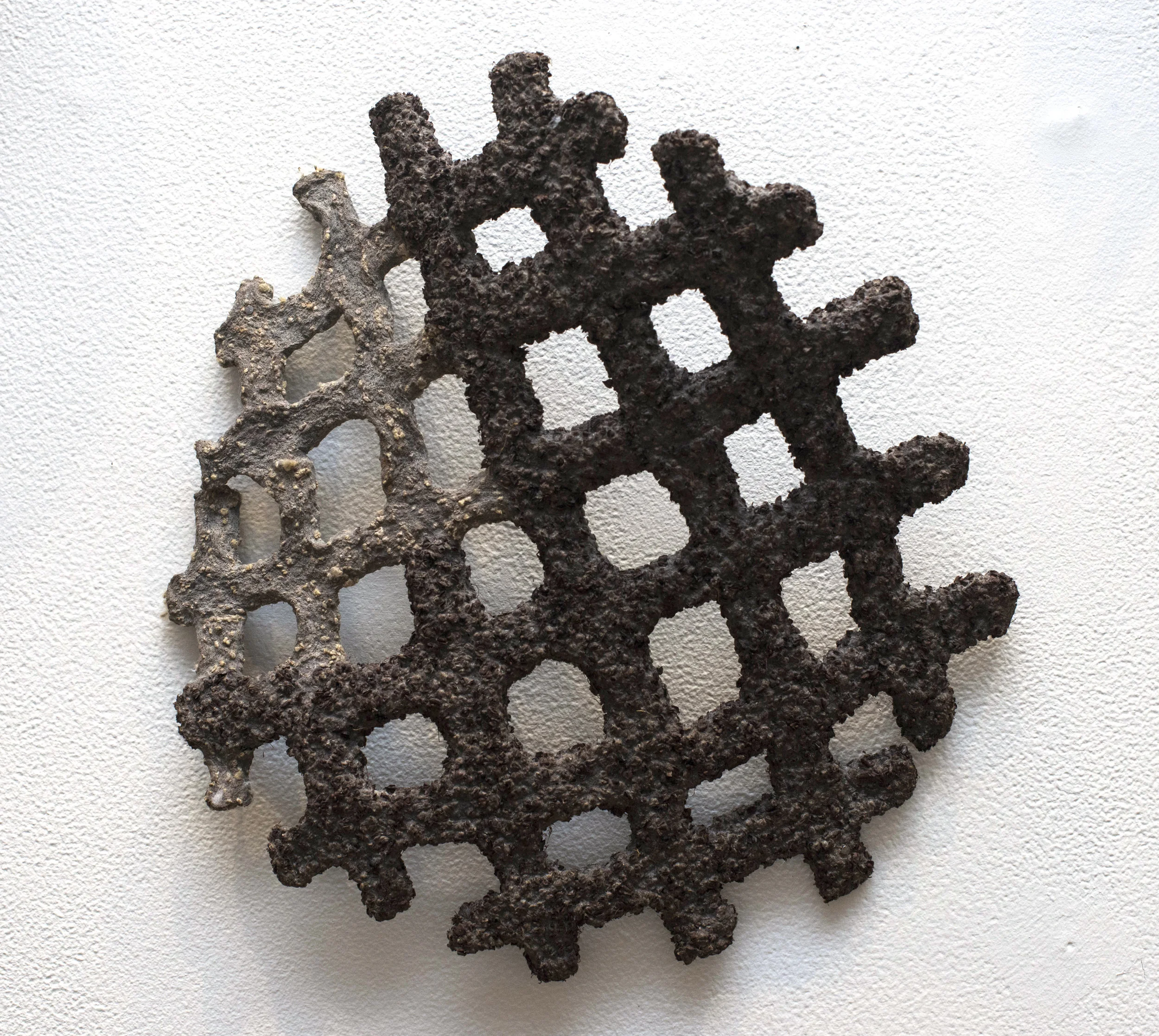 seed grid.jpg
