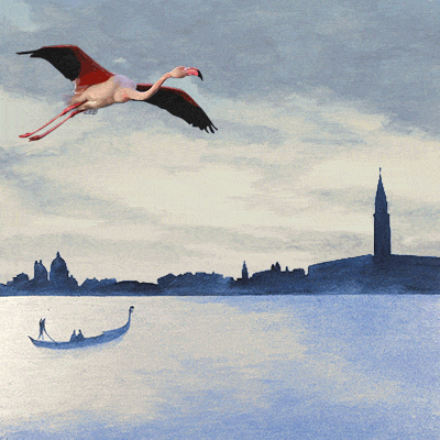 GIF---biennale-A---square.gif