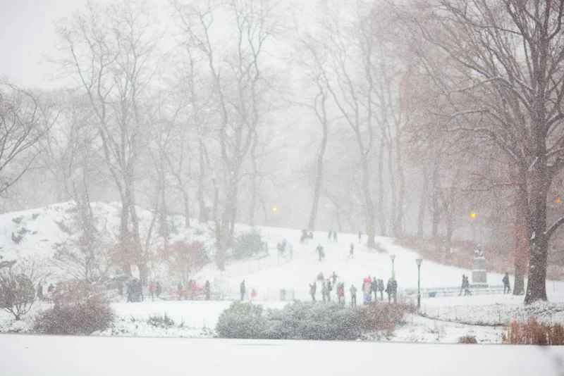 centralpark-snow-800wi.jpg
