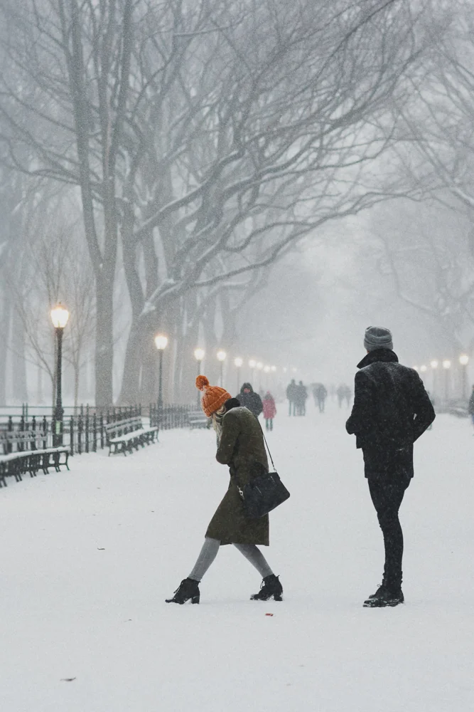 central-park_couple_snow-800wi.jpg
