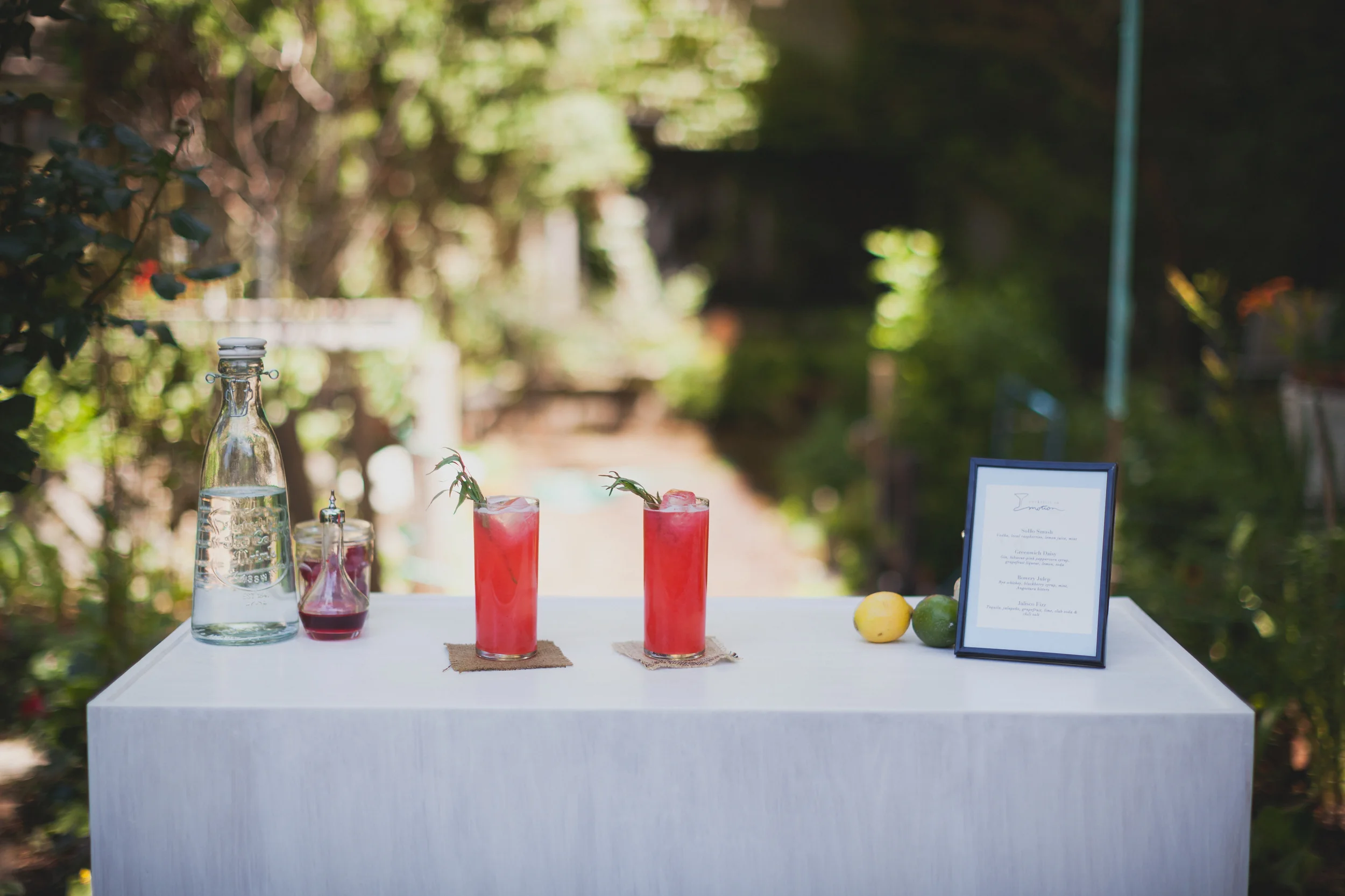 cocktails_in_motion_-071.jpg