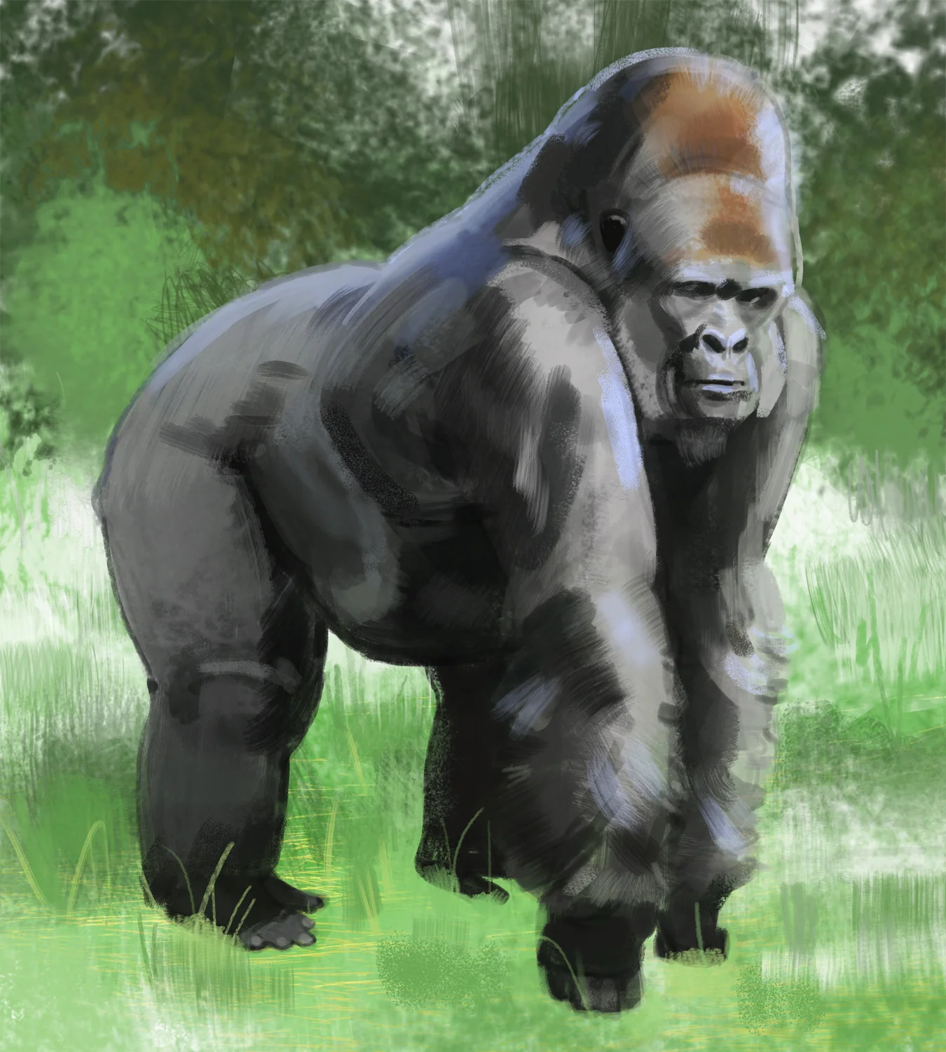 gorilla_-_Yihyoung_Li.jpg