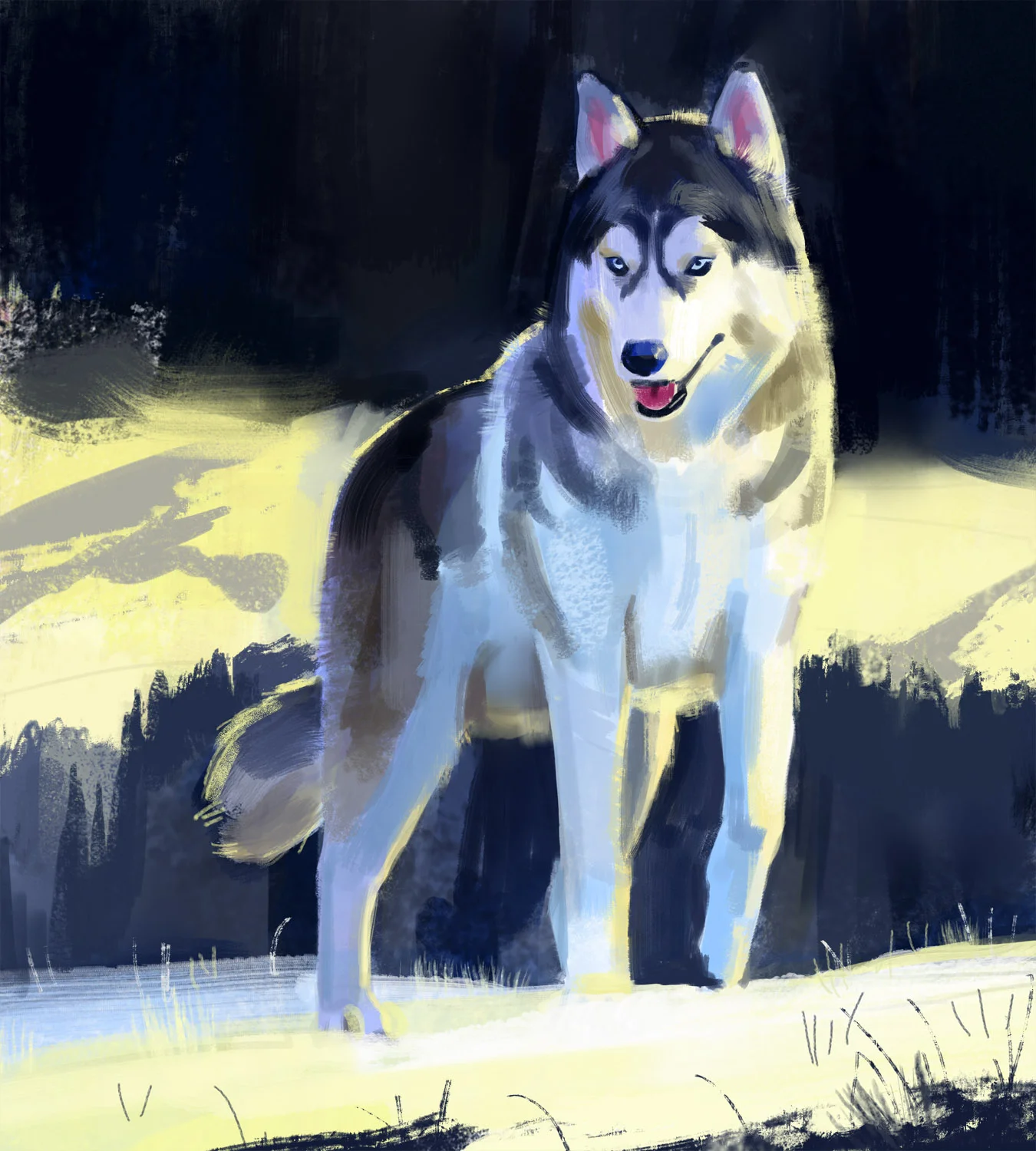 Dog_-_Yihyoung_Li.jpg