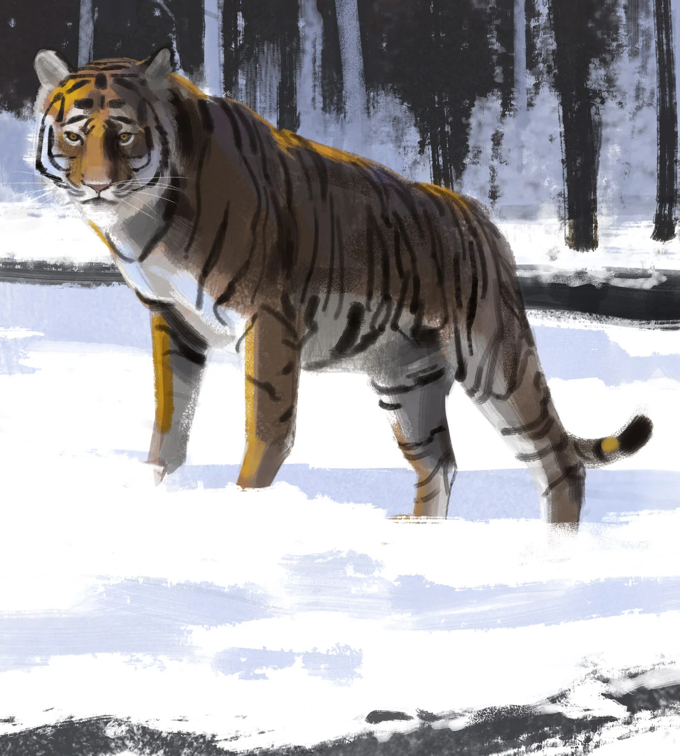 tiger_-_Yihyoung_Li.jpg