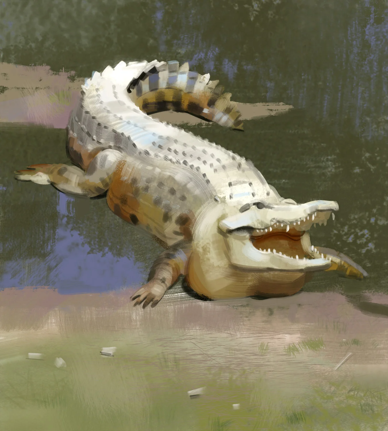 croc_-_Yihyoung_Li.jpg