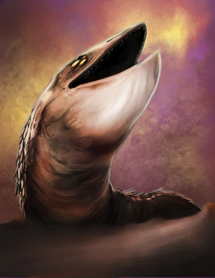 sw.jpg