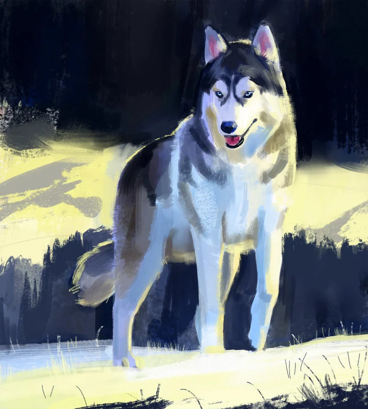 Dog_-_Yihyoung_Li.jpg