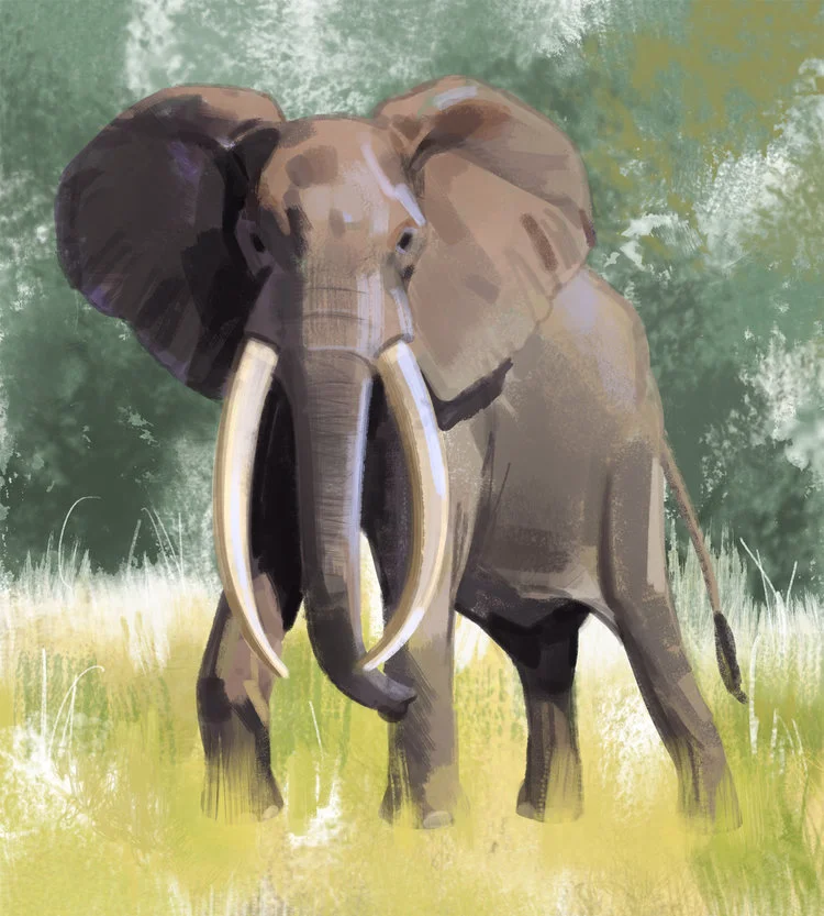 elephant_-_Yihyoung_Li.jpg
