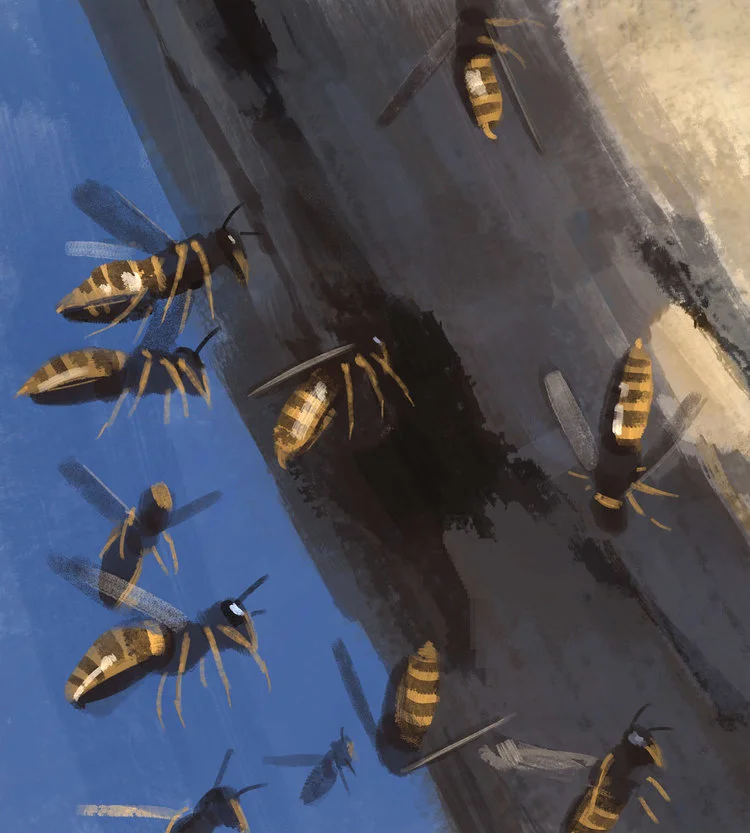 insects.jpg