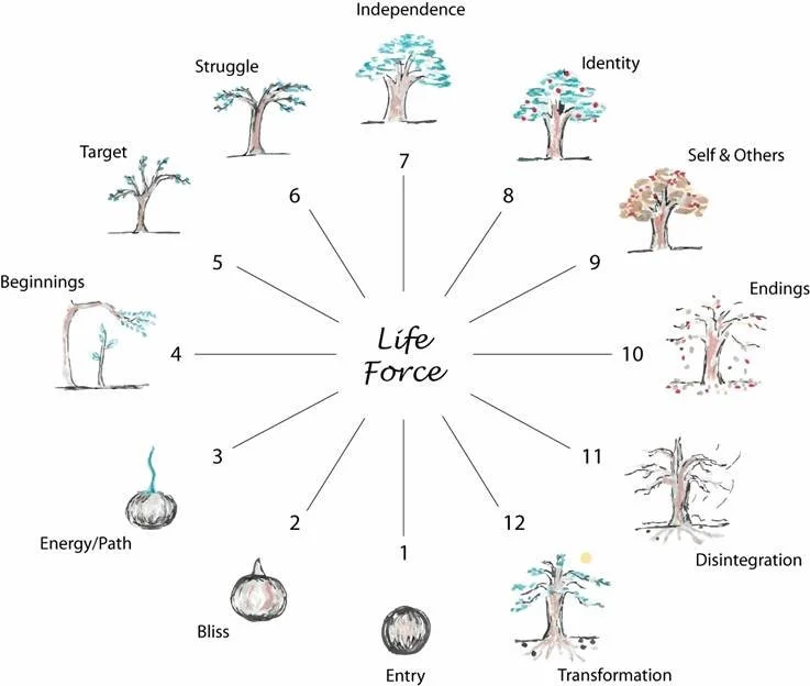 The Mari® uses the metaphor of the growth of a tree to describe the development of our Soul over time. Our psyche moves from seed to sprout to tree to fruiting, disintegration, transformation and rebirth many times over the course of our lives. The Mari® process helps you see where you have been over time and where you are now.