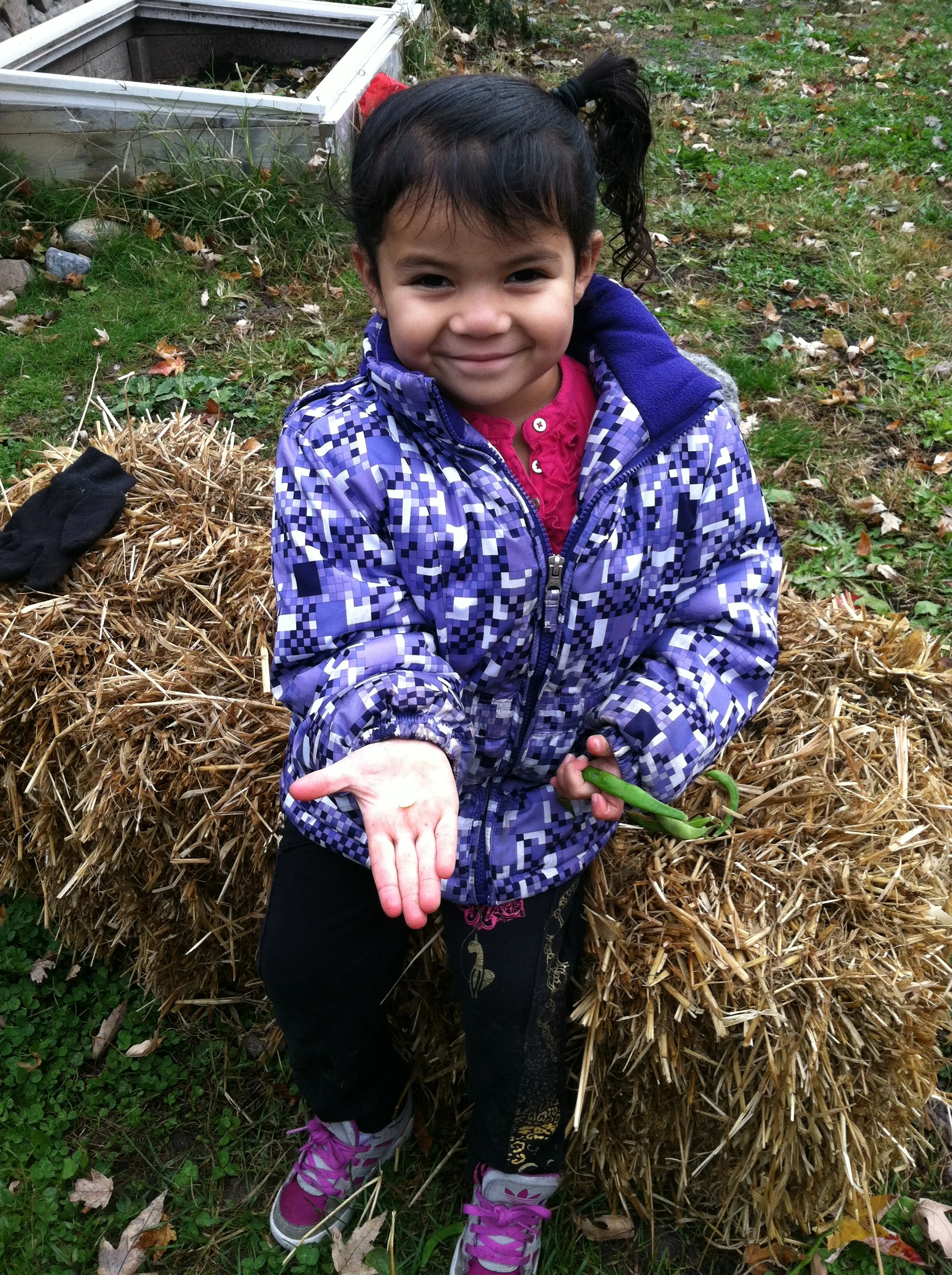 2013-10-30 10.37.36.jpg
