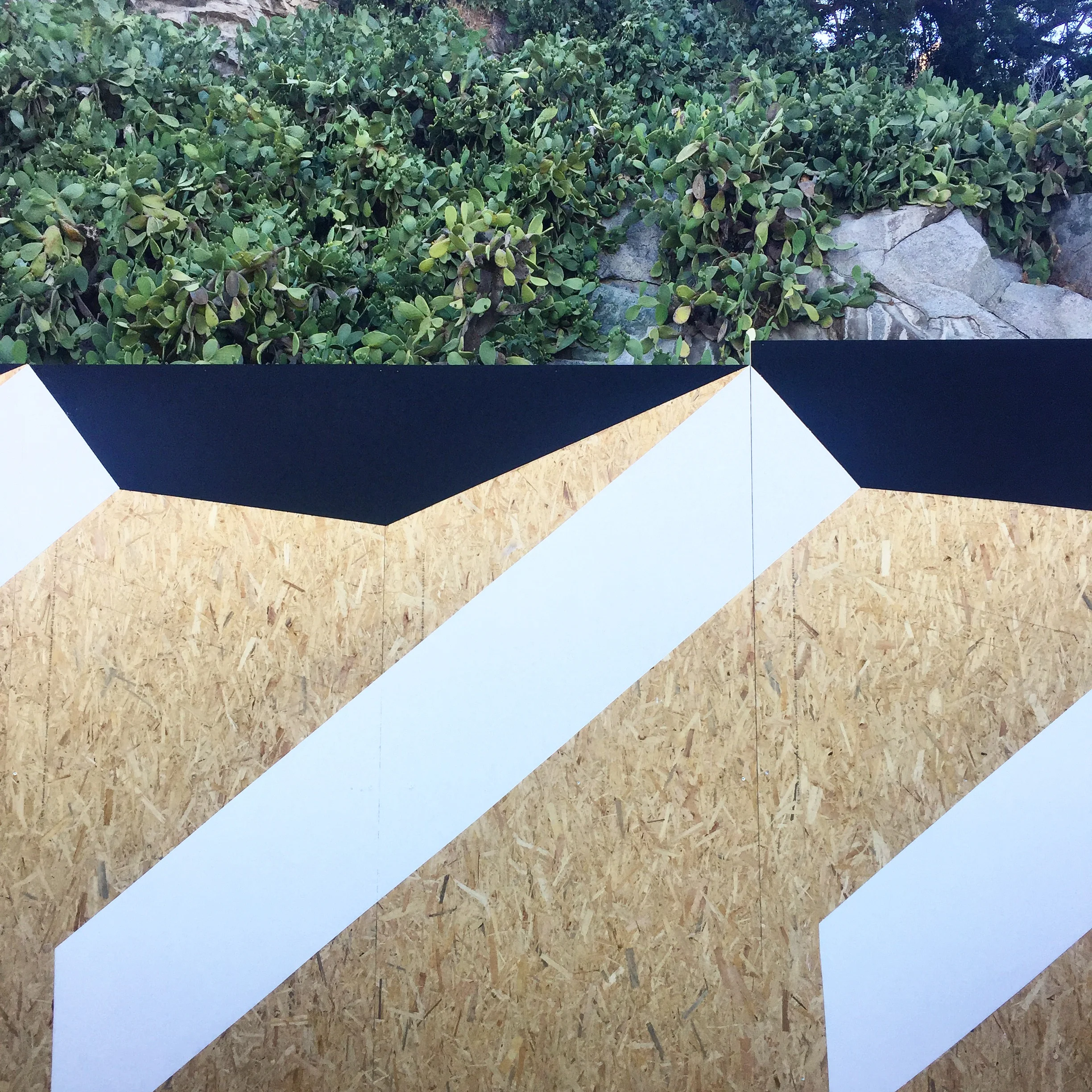 Caroline Derveaux_Fresque.jpeg