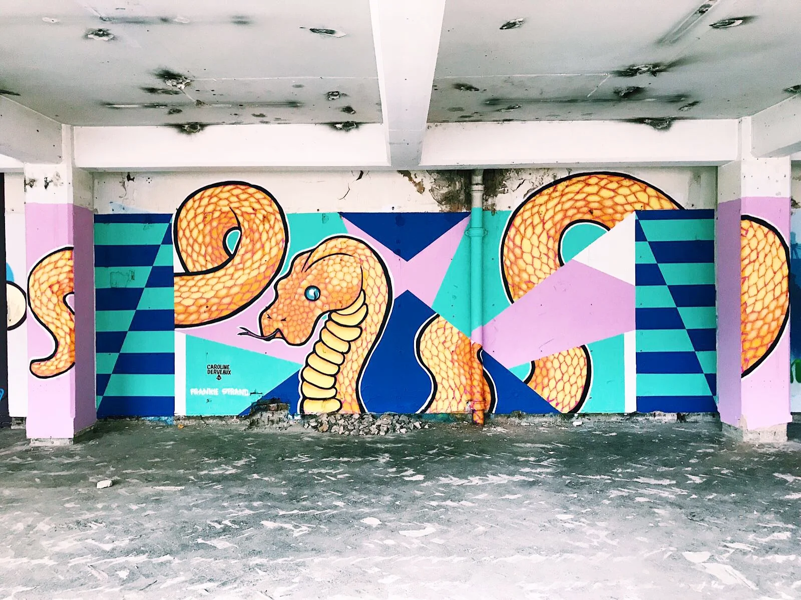 Caroline Derveaux_Collaboration Frankie Strand.jpeg