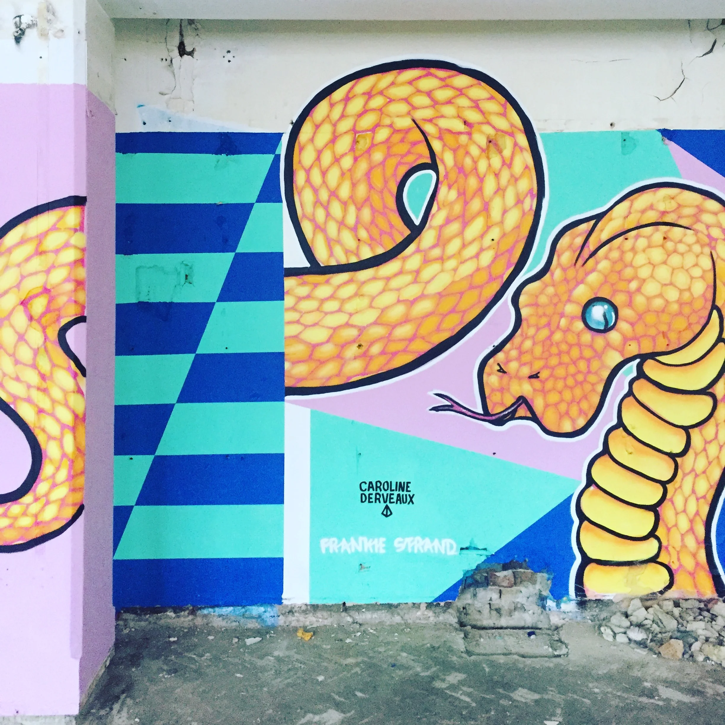 Caroline Derveaux_Collaboration Frankie Strand_3.jpeg