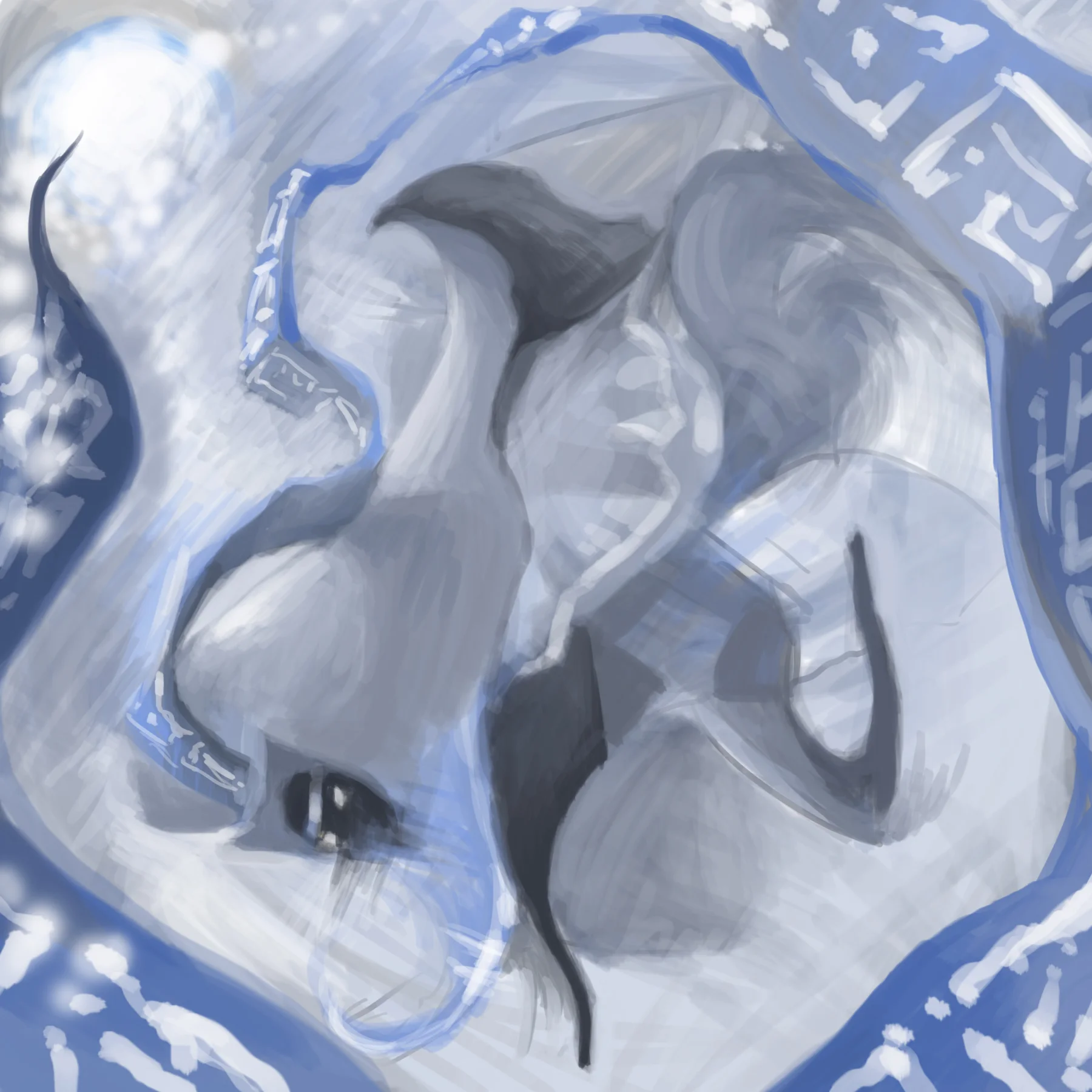 journey.jpg