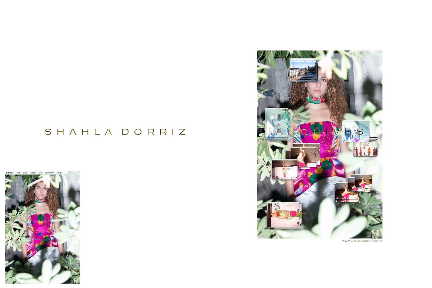 Shahla Dorriz Archives