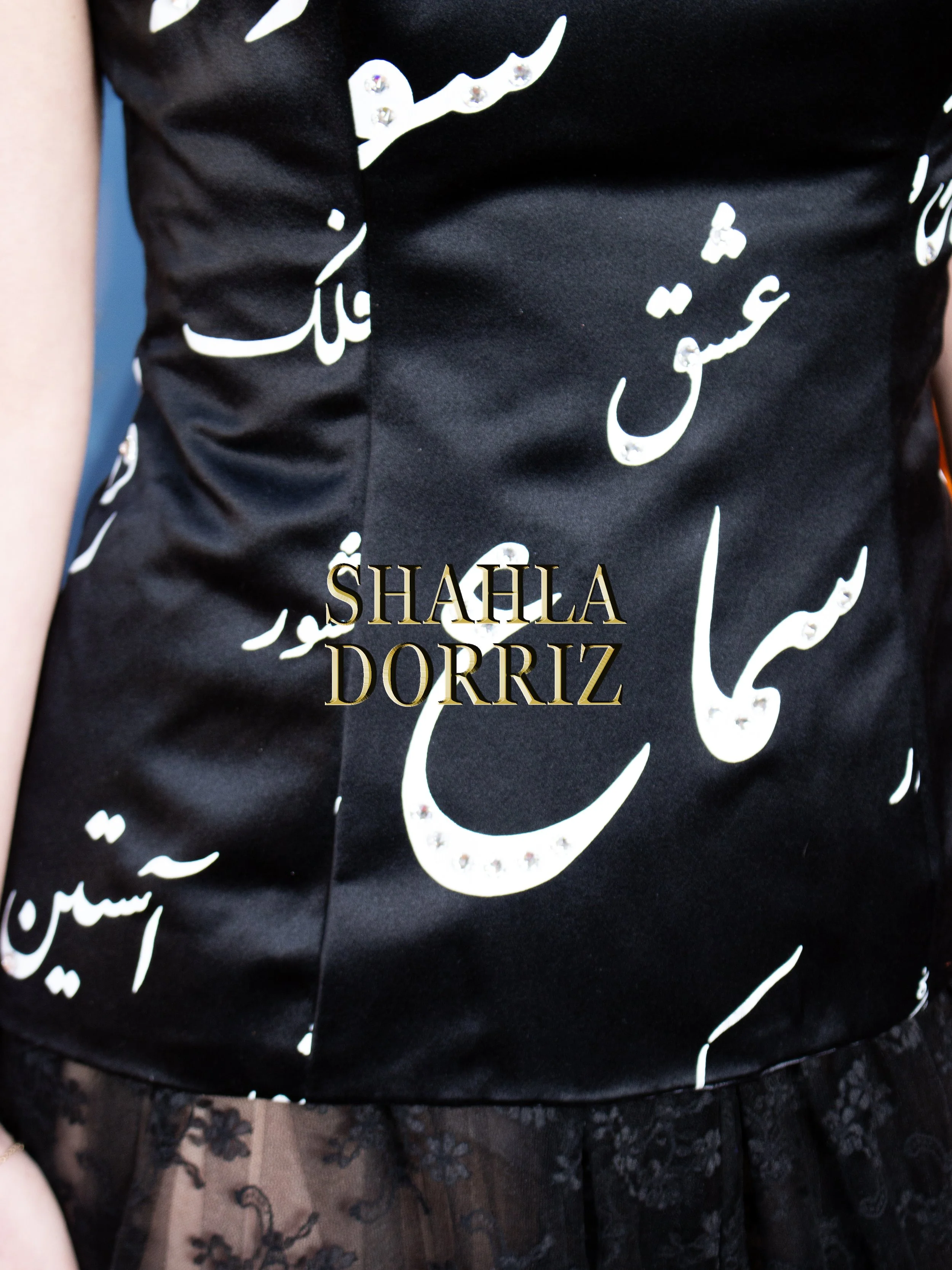 IMG_1859-shahla-dorriz.jpg