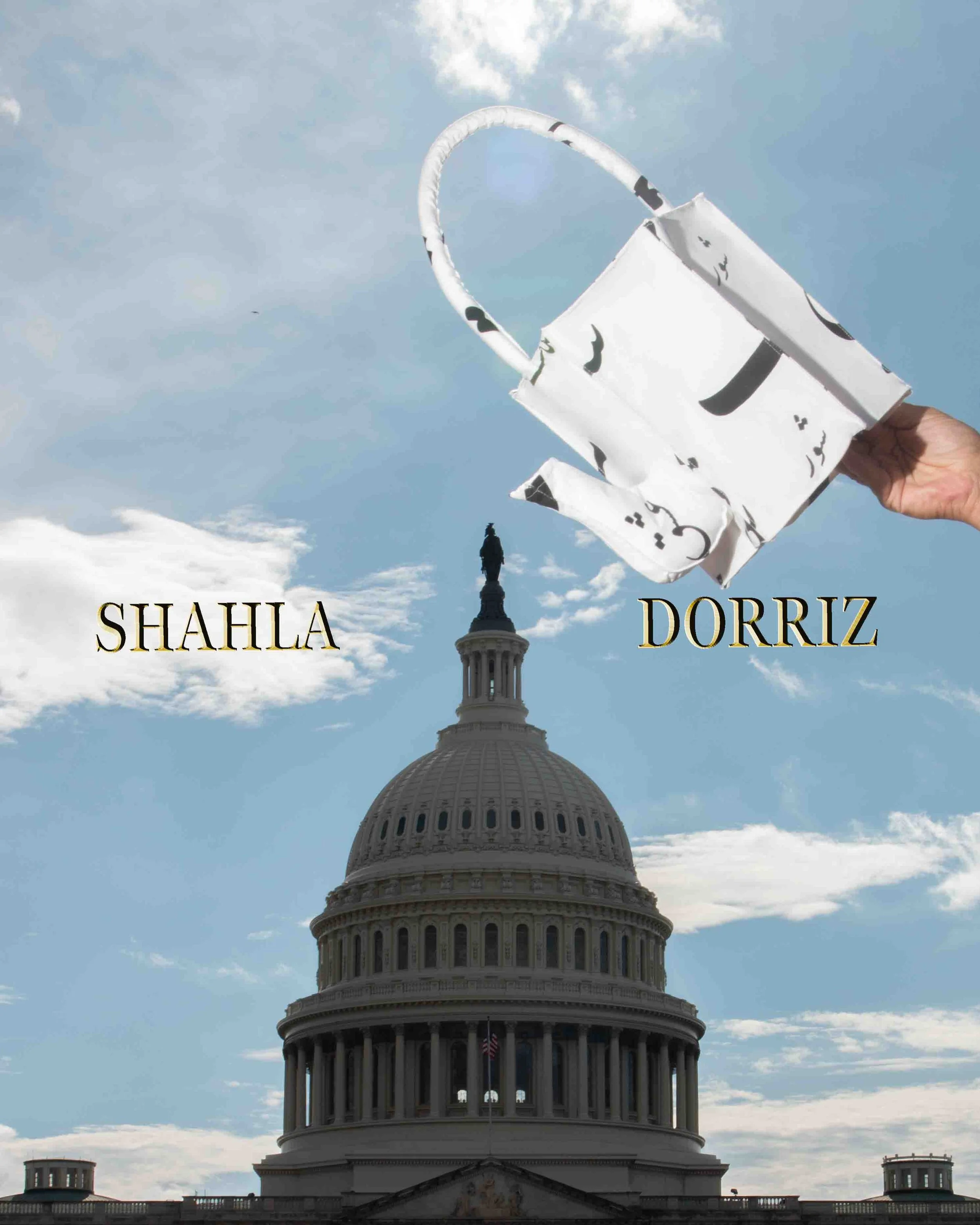 shahla-dorriz-HOT-CHAI-BAG-RUMI--2.jpg