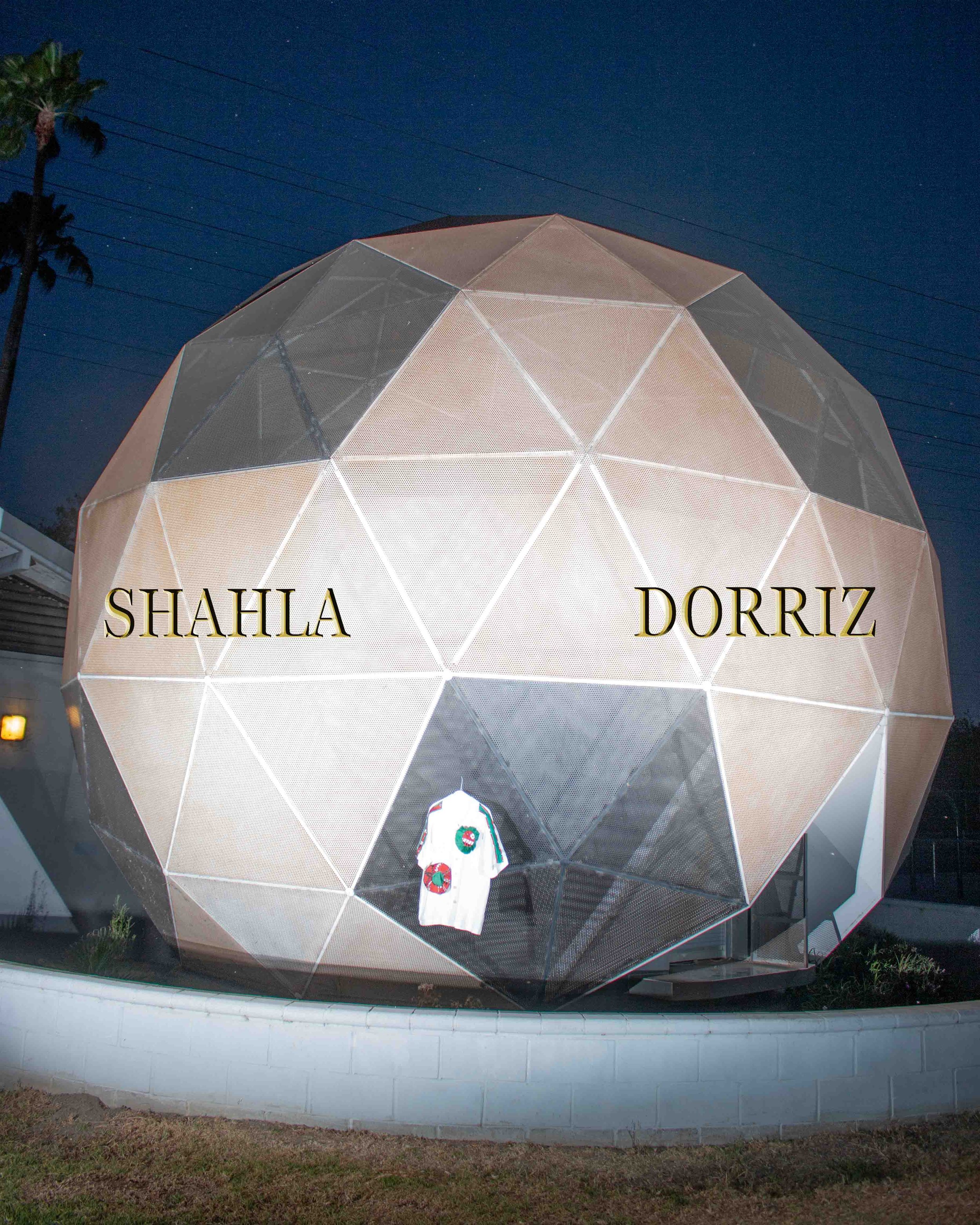 shahla-dorriz-DU-DU-DU-DU-DU-DU-DU-IRAN-SHIRT--2.jpg