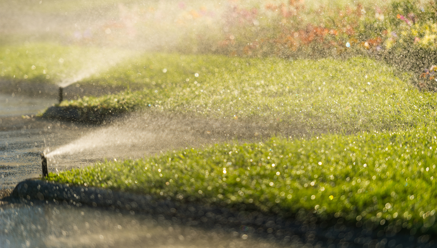 lawn_sprinklers.jpg