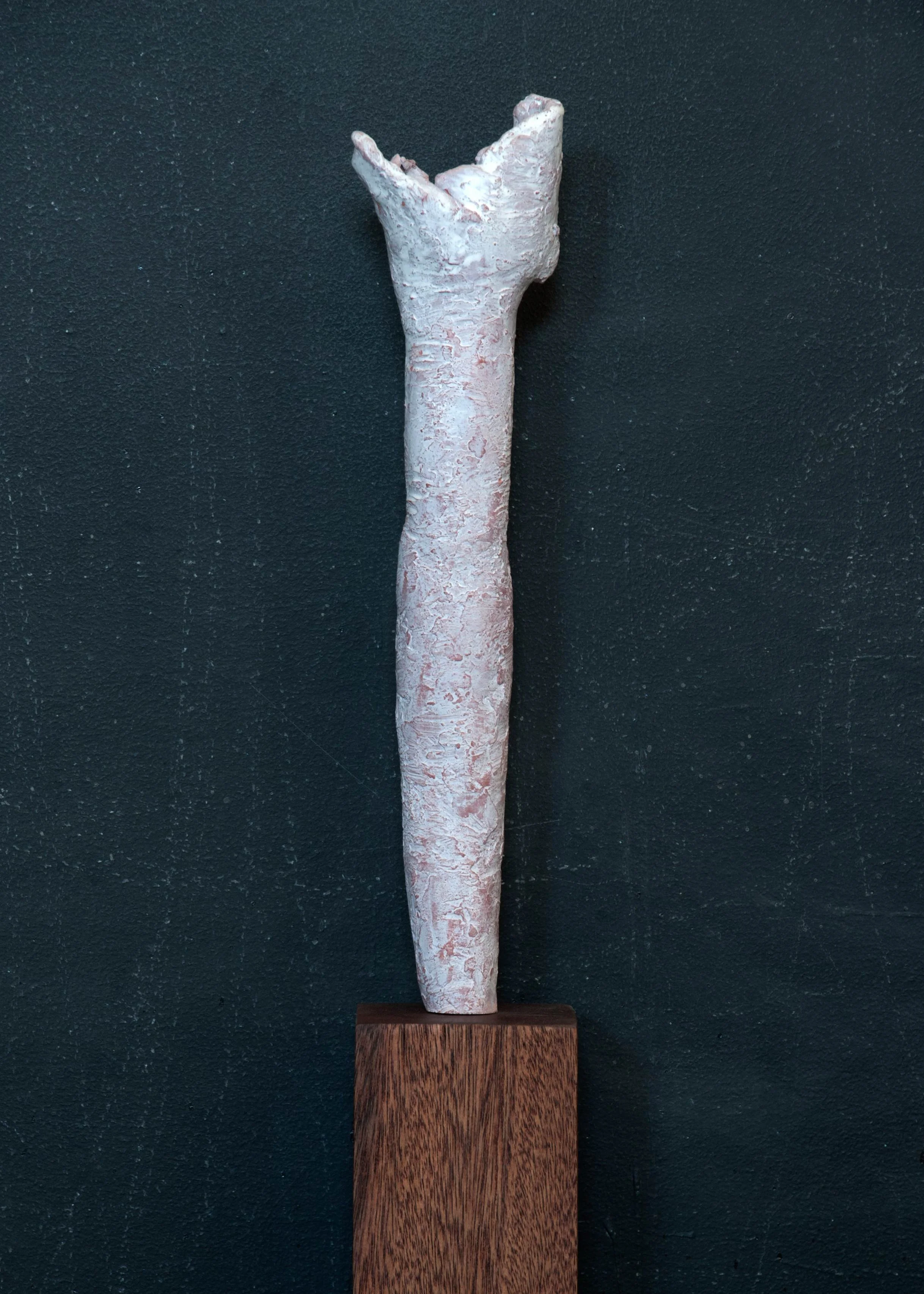 twig-not-crooked.jpg