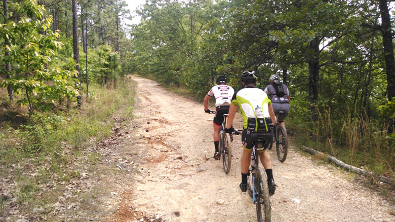 near the beginning of the skyway trail