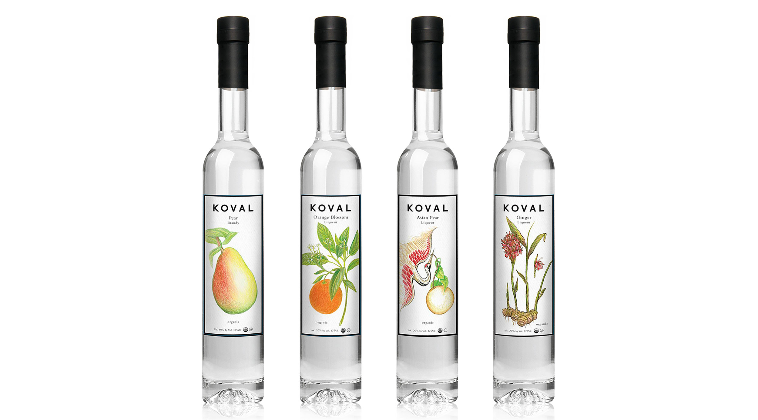 3_26_16_dando_mockups_19201165_koval_liqueurs.jpg