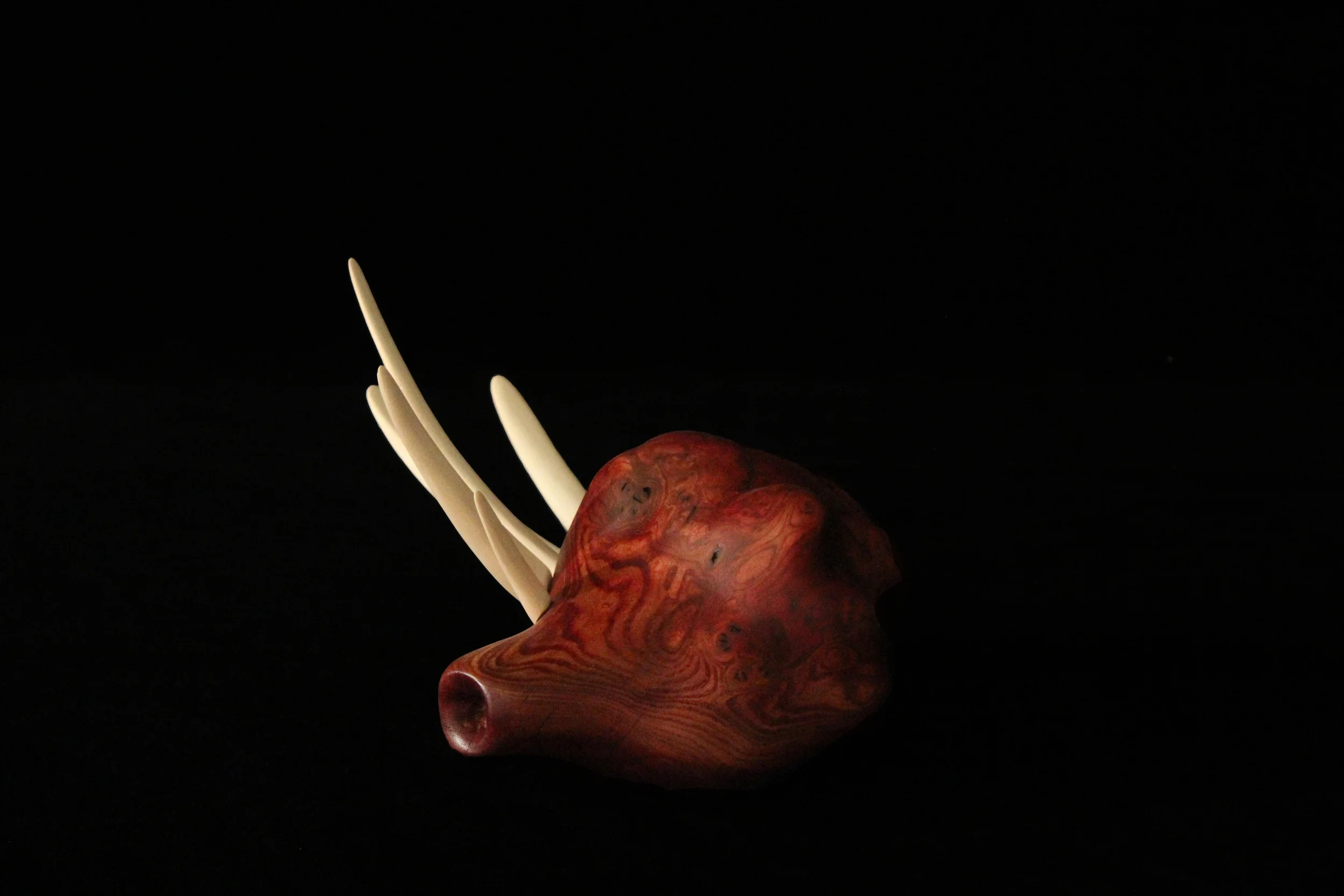 Guard your Heart, 2013. 7” x 9” x 16” Carved Mahogany burl, Basswood. SOLD