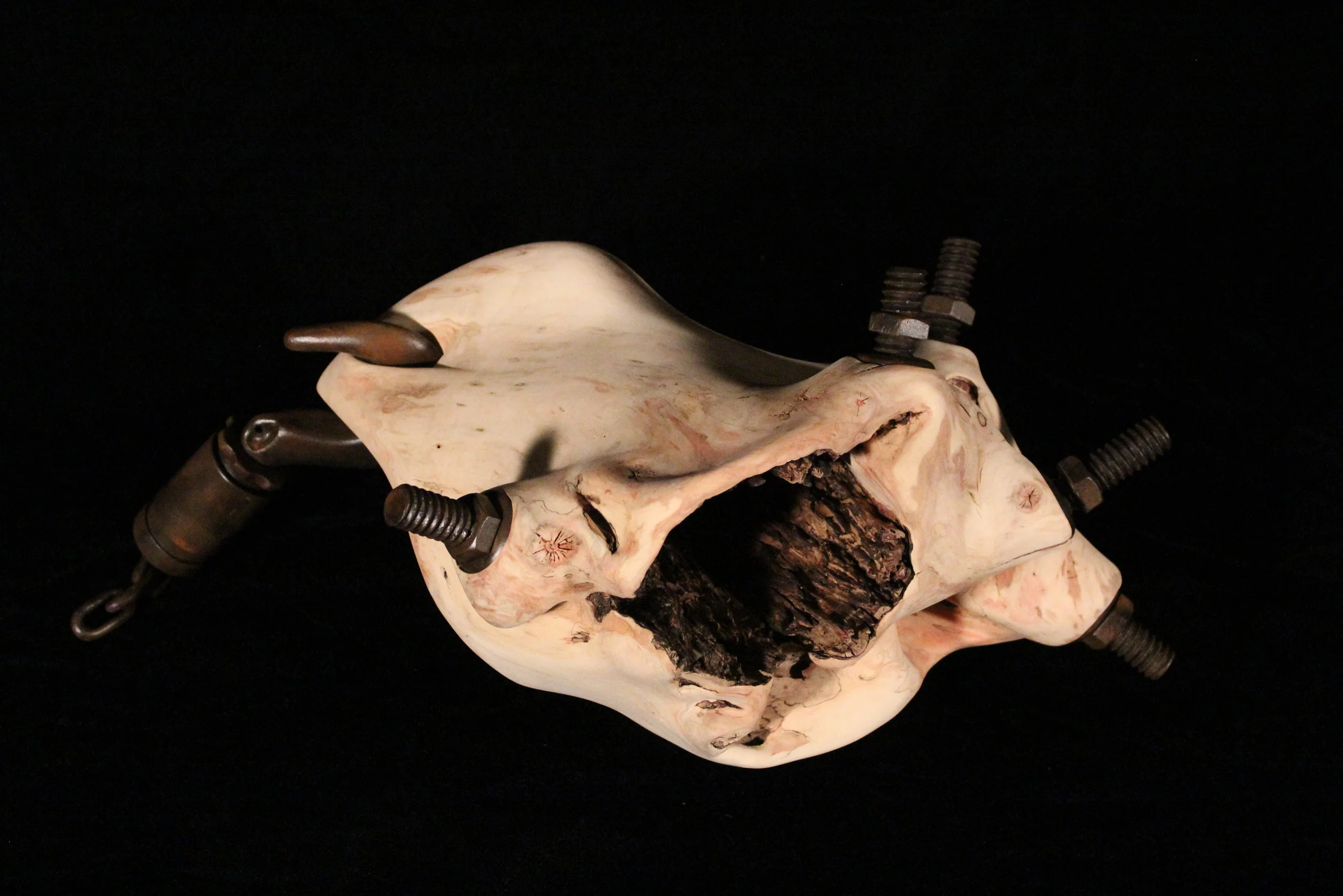 Betrayal, 2014. 9" x 21" x 16". Carved Spalted Box Elder, Maple, Yellowheart, Basswood, Purpleheart. Available, contact for price.