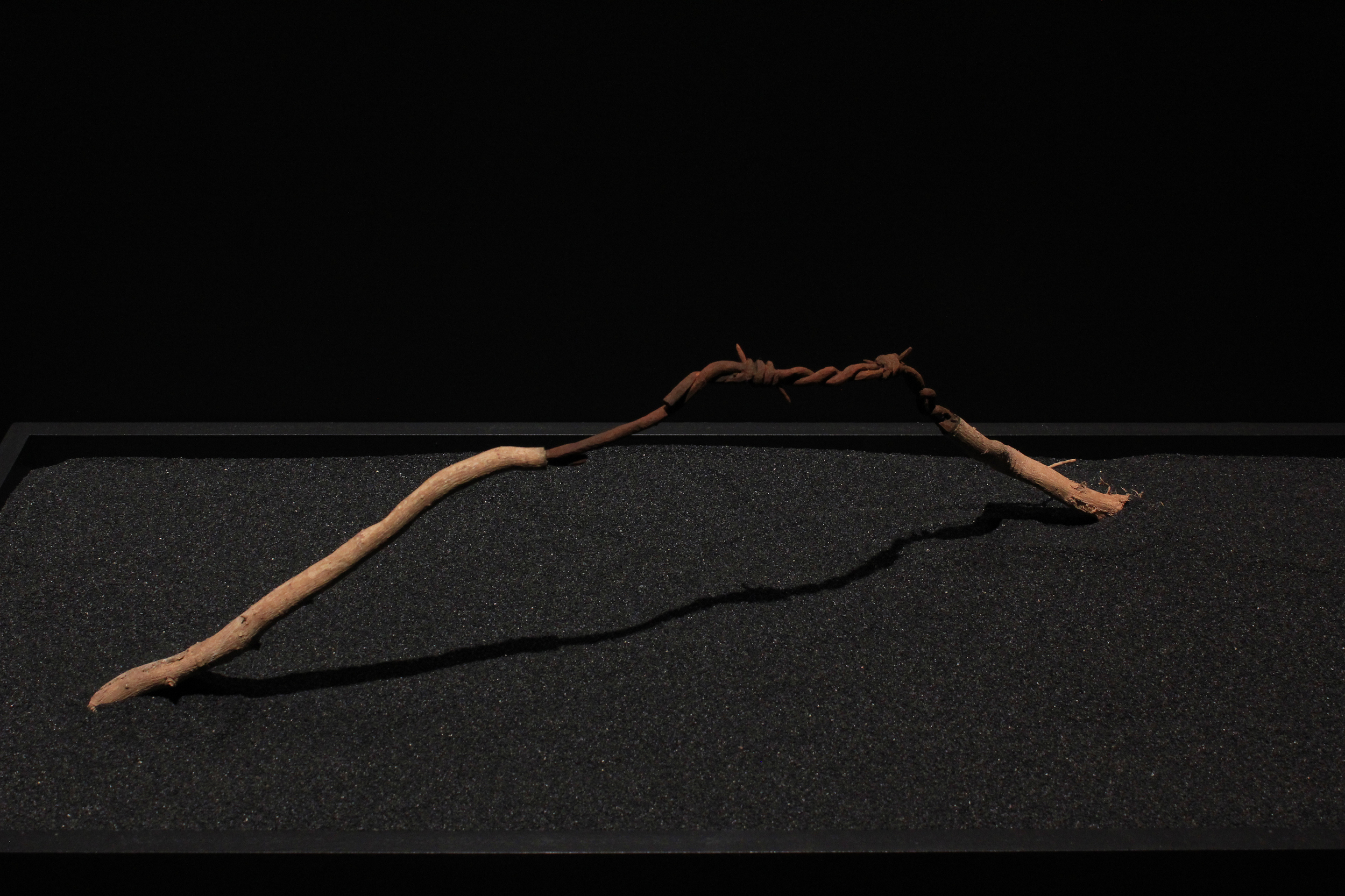 Expose, 2014. 2" x 23" x 6". Carved root. SOLD