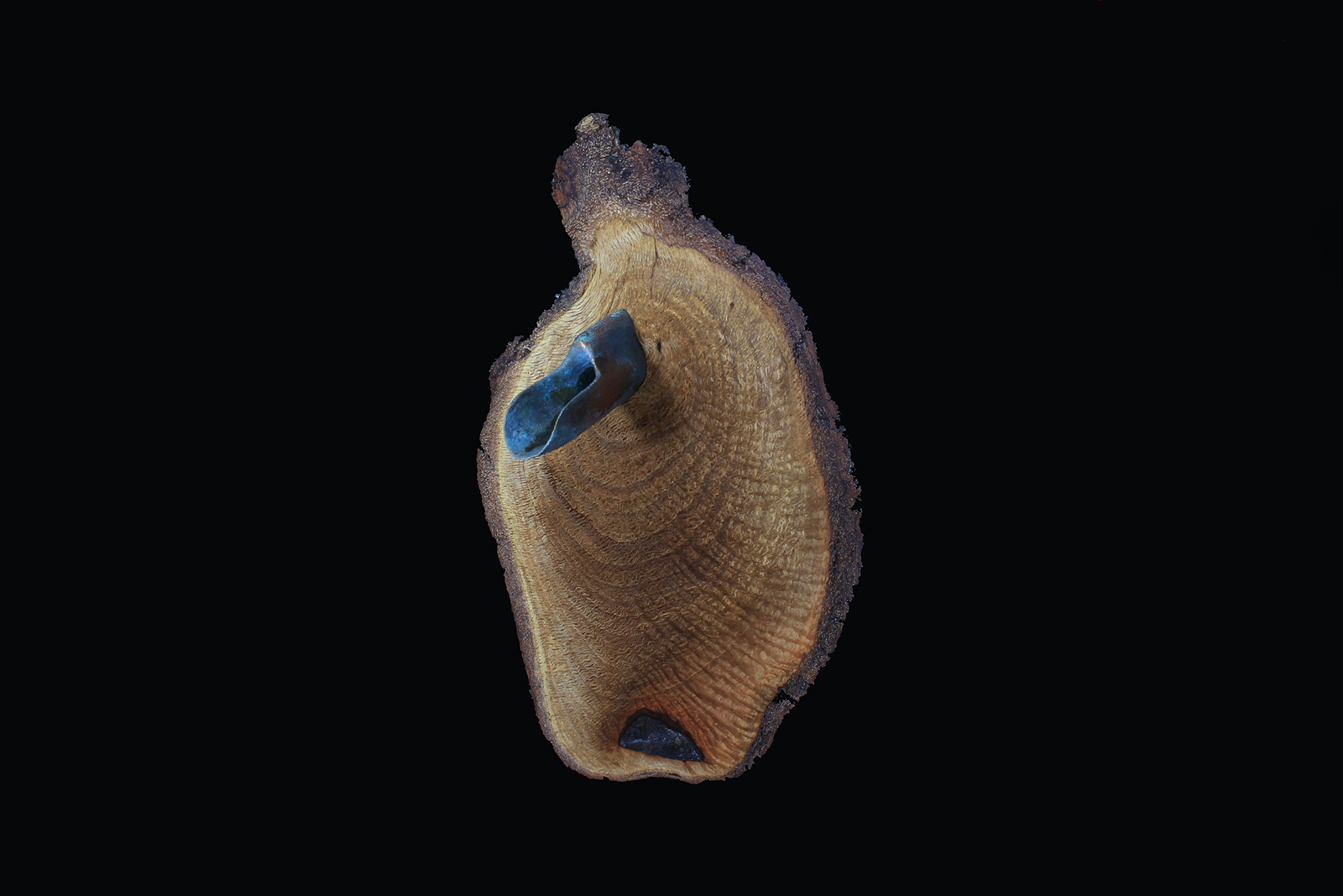 Adjust, 2015. 12" x 6" x 2.5". Carved Figured Oak, Basswood. SOLD