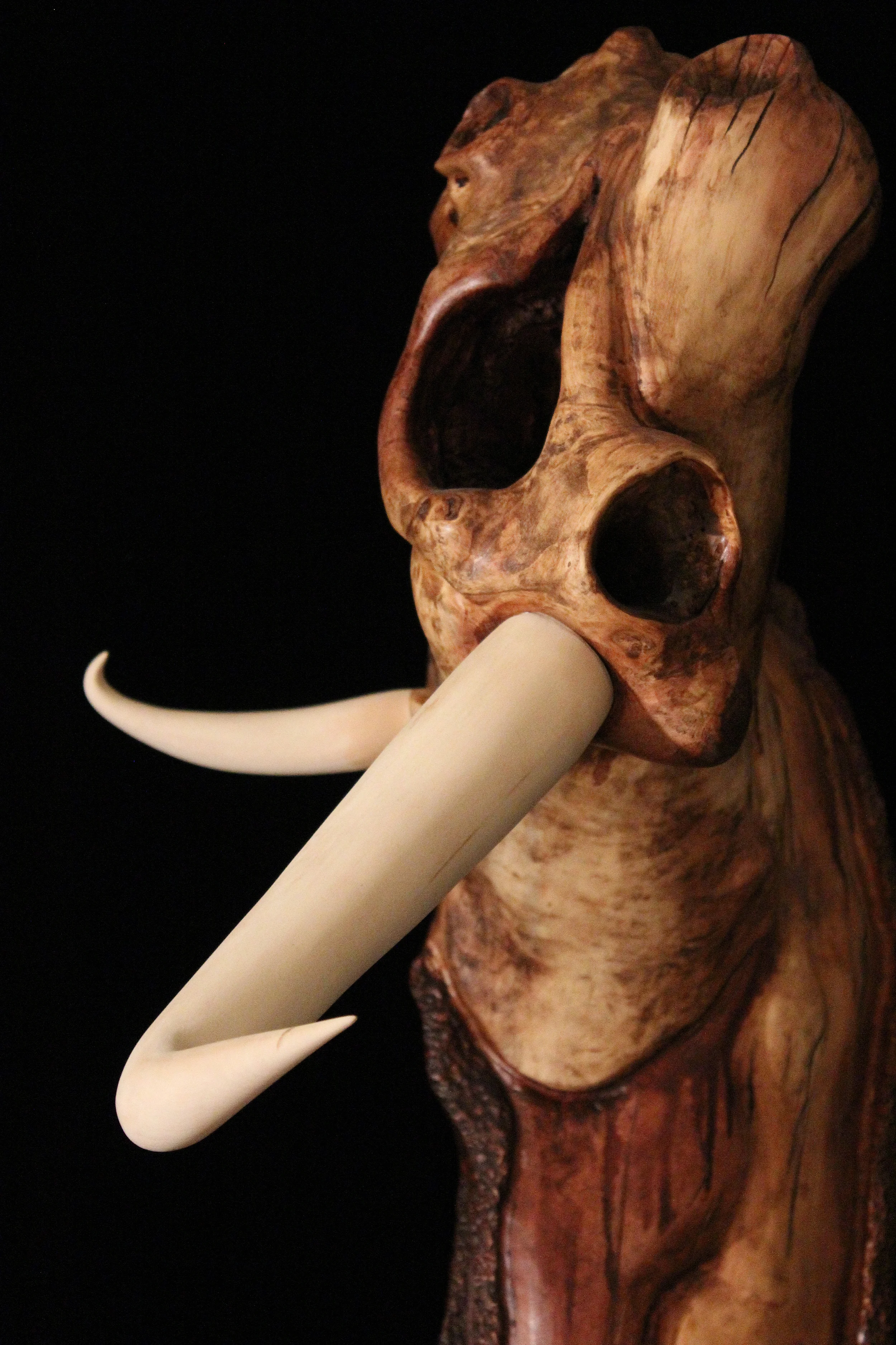 Residual, 2012. 38” x 14” x 16”. Basswood, Box Elder. Available, contact for price.