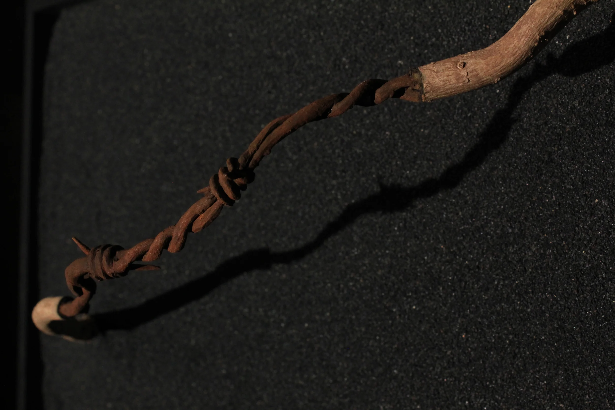 Expose (detail), 2014. 2" x 23" x 6". Carved root. SOLD