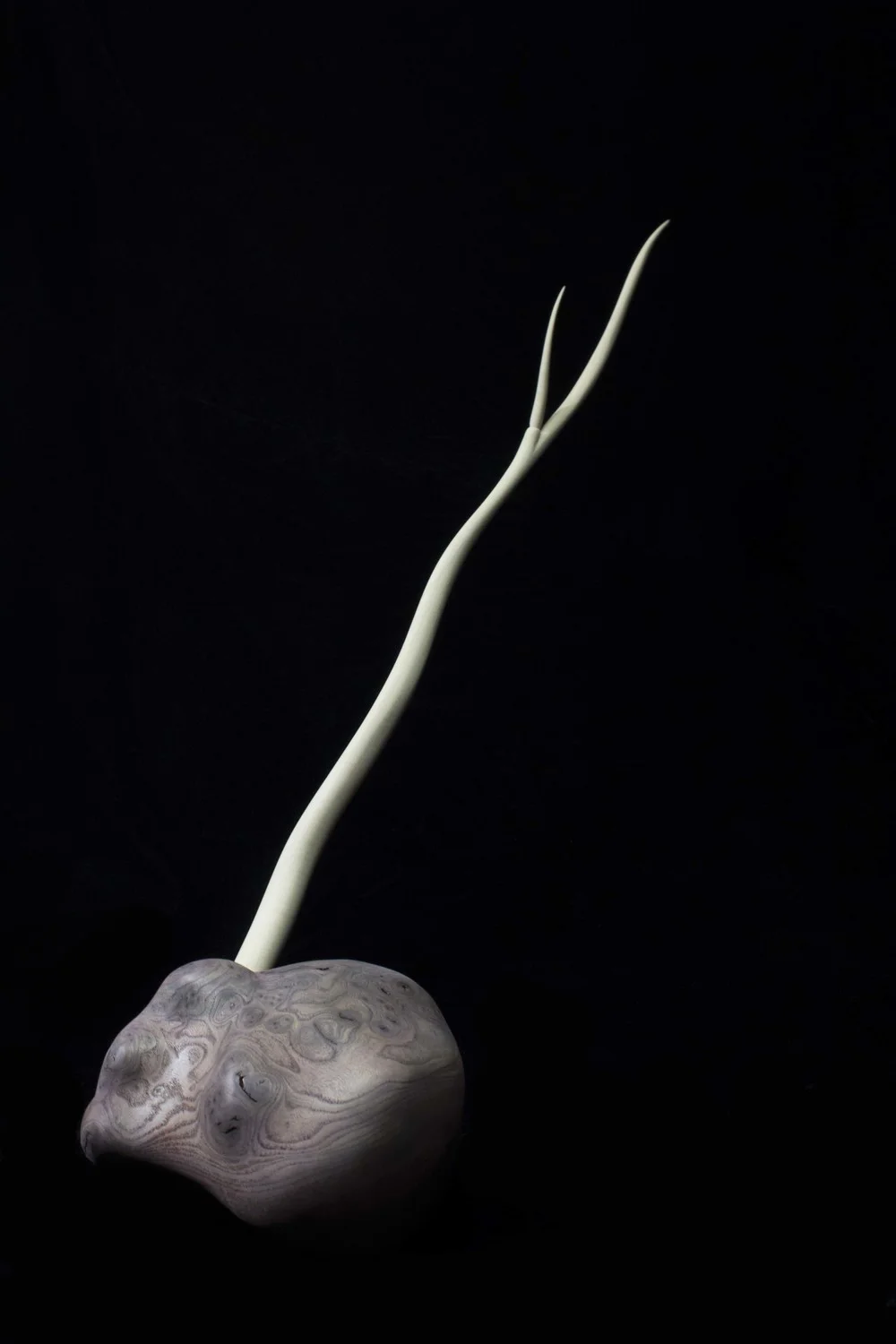 Emerge, 2014. 18” x 22” x 9”. Mahogany, Maple. Available, contact for price.