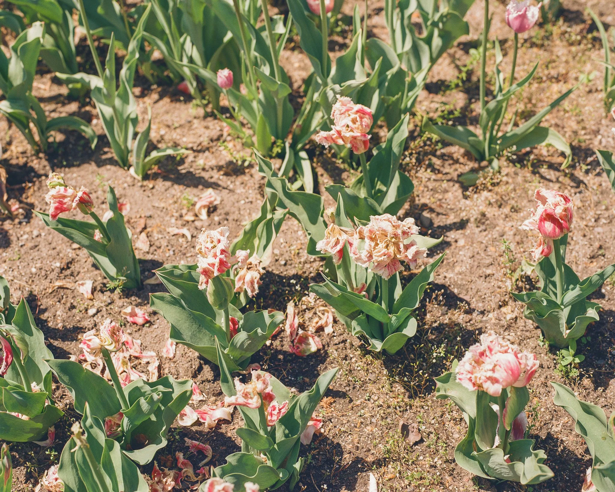 102821_ABO_004_05.jpg