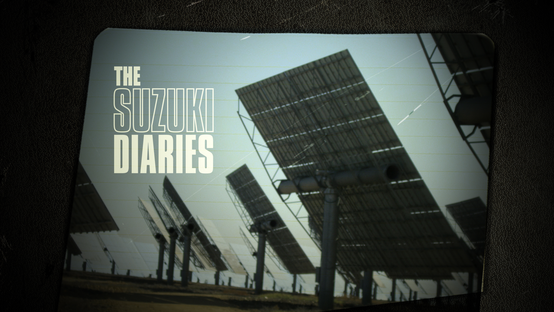 Suzuki Diaries
