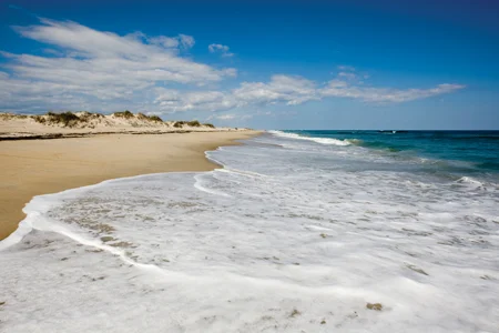 BEACH.jpg