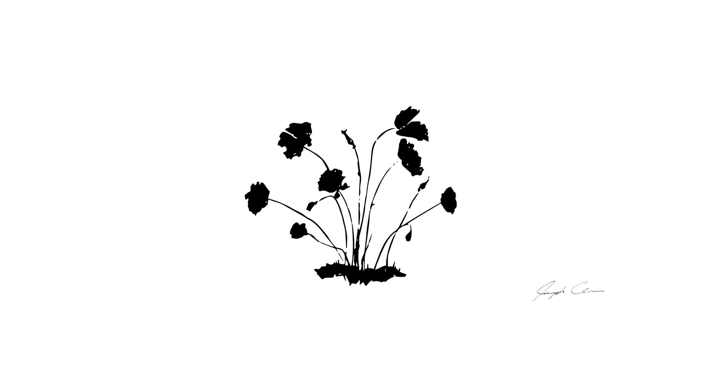 RLxJAD_web_pics_Page_3.jpg