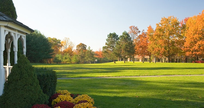 hilton lanscape.jpg