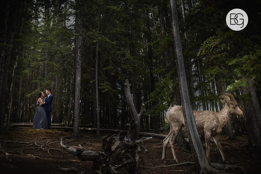 Banff_wedding_photographers_engagement_AngelaWandy_11.jpg