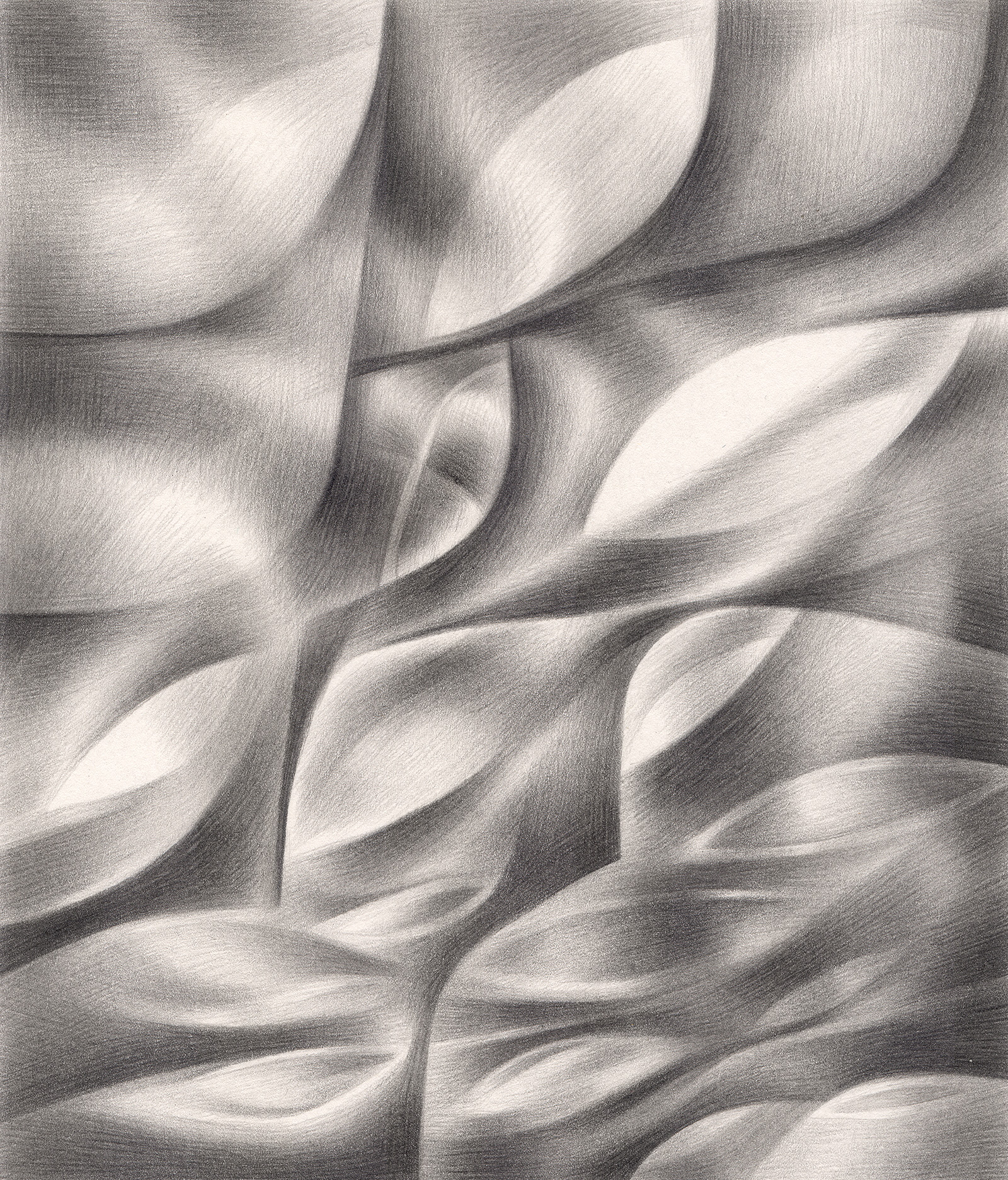   Soft Nibbles , 2004. Graphite on paper. 6" x 7". 