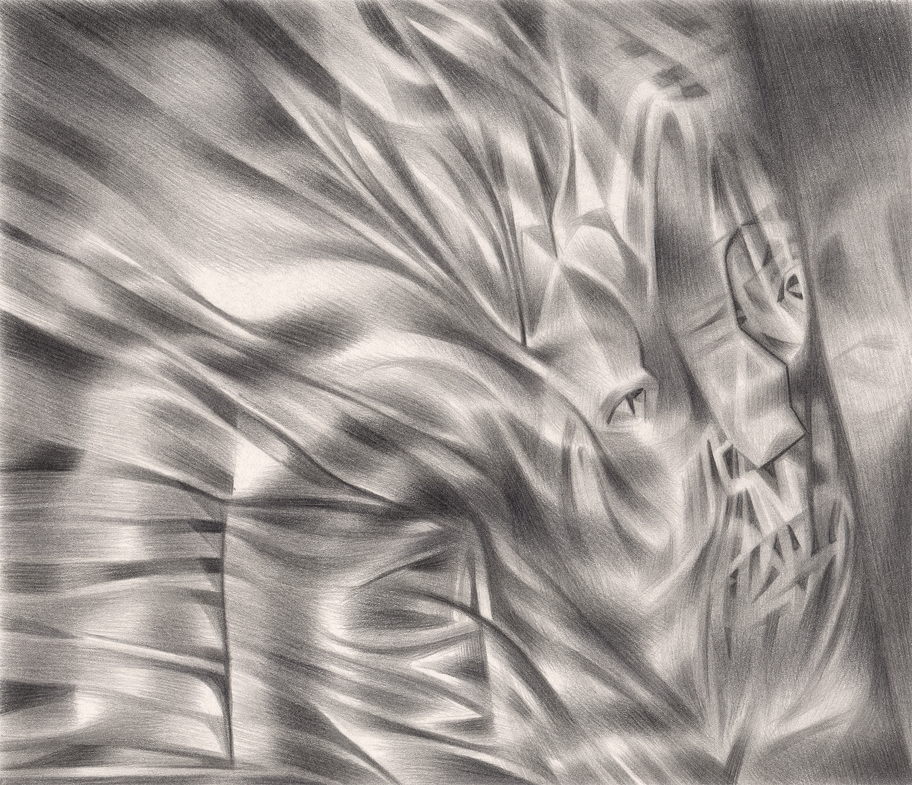   The Anger Effect , 2004. Graphite on paper. 7" x 6". 